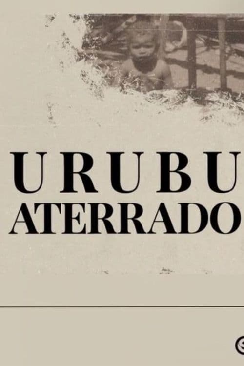 Urubu aterrado