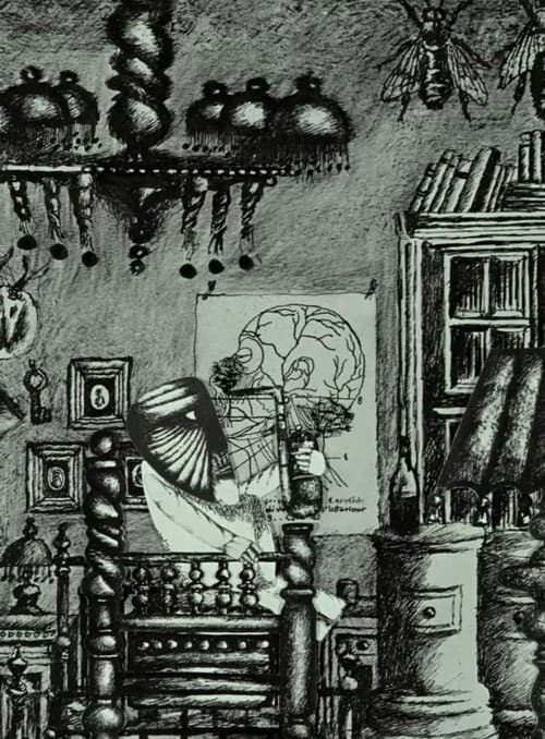 Camera obscura