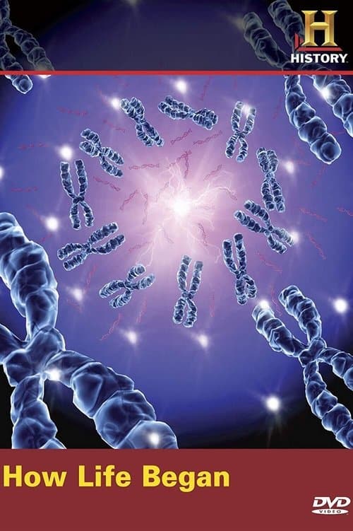 Cum a început viața