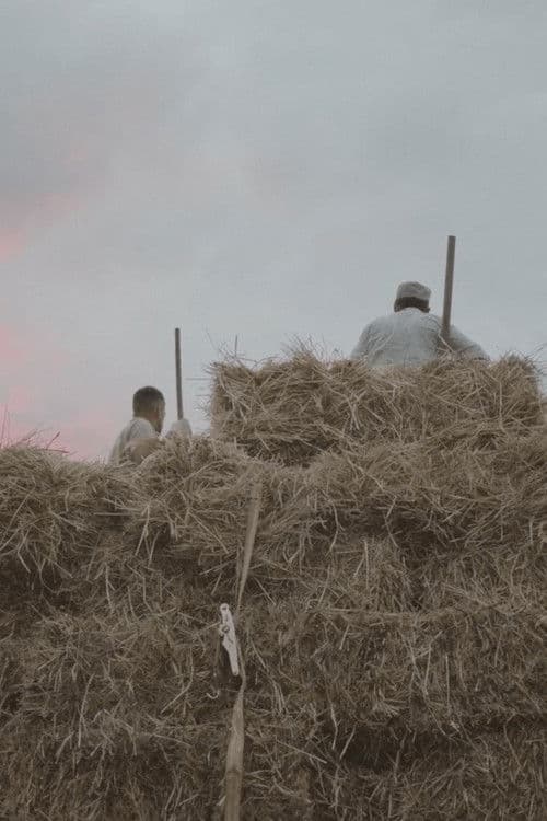 ციებ-ცხელების შემდგომ