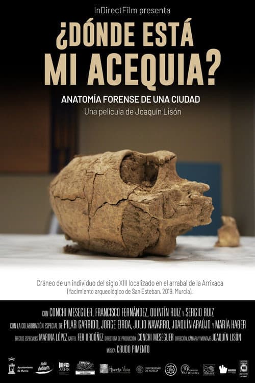 ¿Dónde está mi acequia?