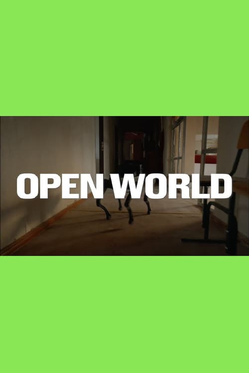 Open World
