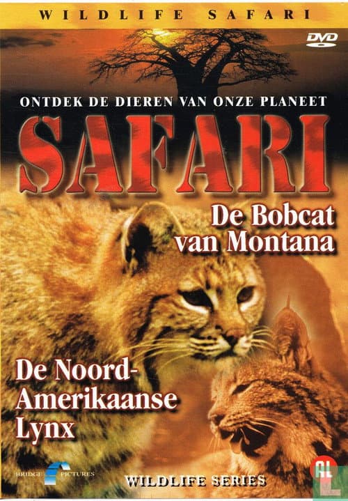 Safari: De Bobcat van Montana / De Noord-Amerikaanse Lynx