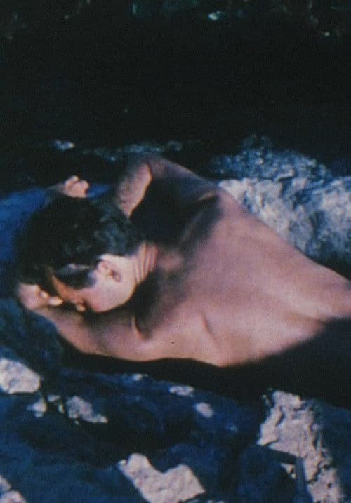 Early Monthly Segments