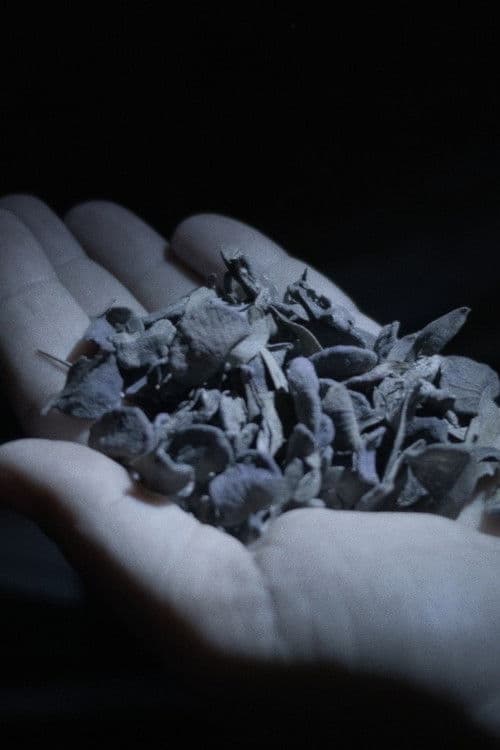 Queste cose non avvennero mai ma sono sempre