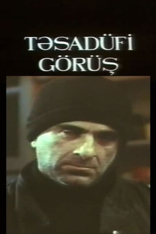 Təsadüfi görüş