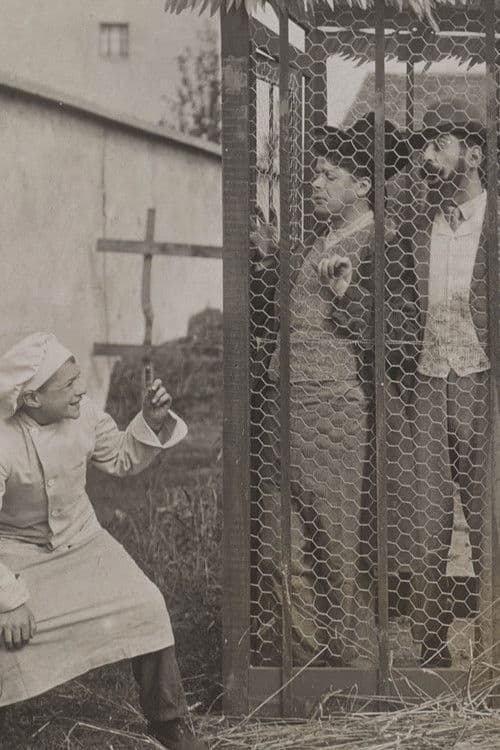 Les Farces de Toto gâte-sauce