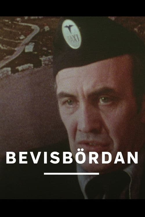 Bevisbördan