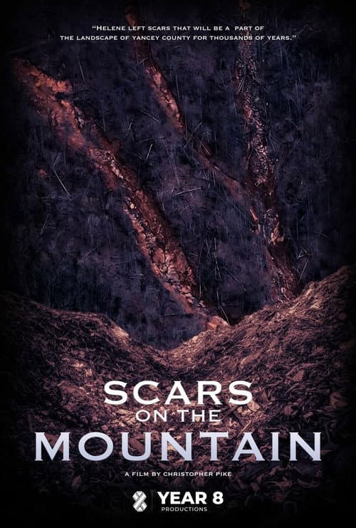 Scars on the Mountain