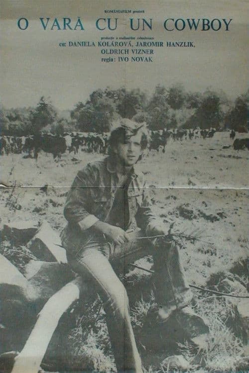 O vară cu un cowboy
