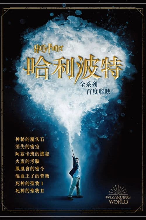 Harry Potter Movie Collection