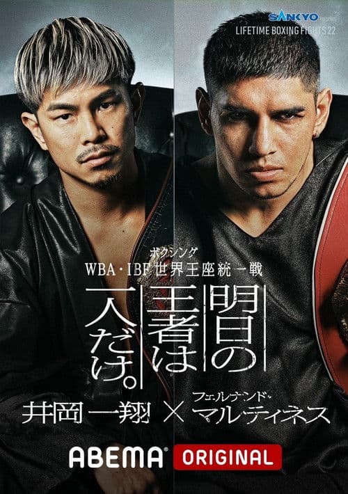 LIFETIME BOXING FIGHTS 22