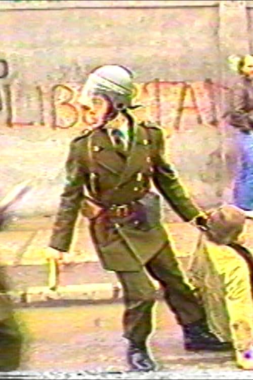 El páramo del ciudadano. Chile actual