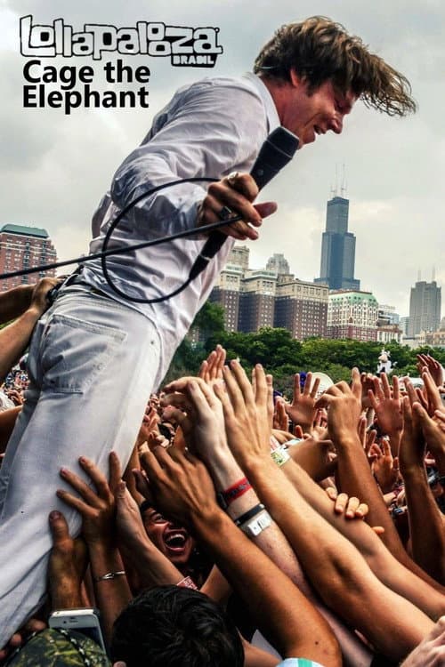 Cage the Elephant - Lollapalooza Brazil