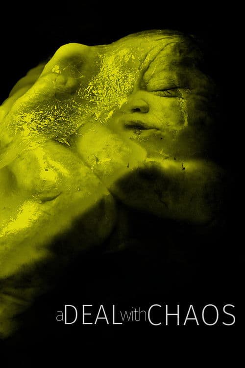 Um Acordo com o Caos