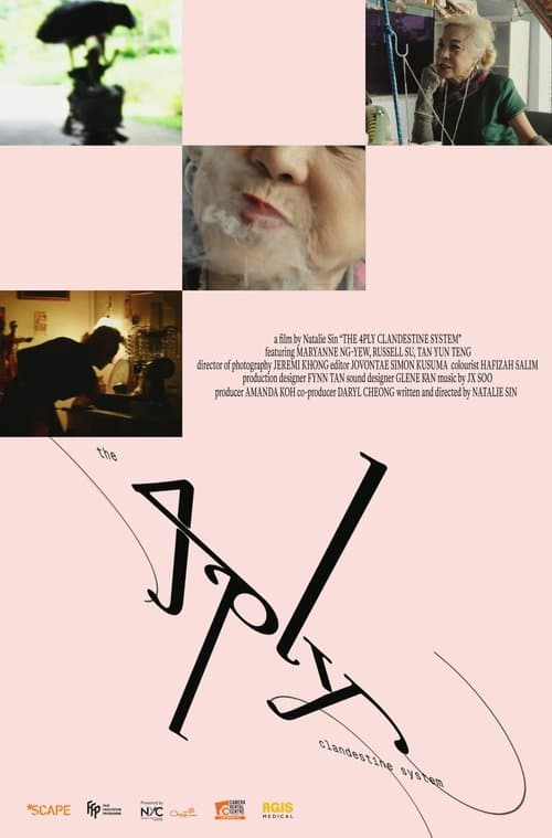 The 4PLY Clandestine System