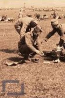 12. konjička divizija