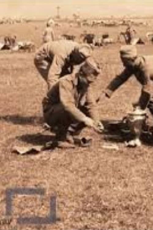 12. konjička divizija