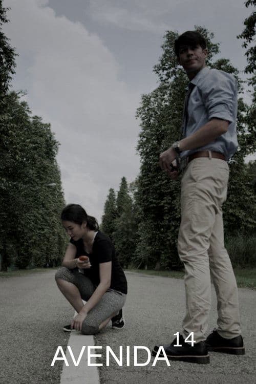 Avenue 14