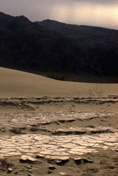 Death Valley Love Letter