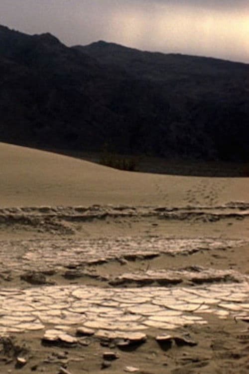 Death Valley Love Letter