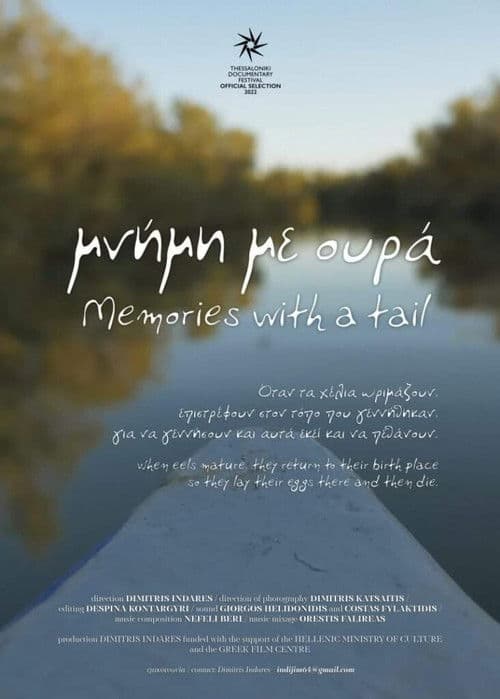 Μνήμη με Ουρά