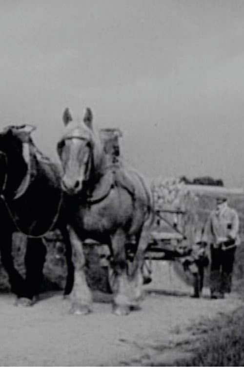 Quand chacun apporte sa part