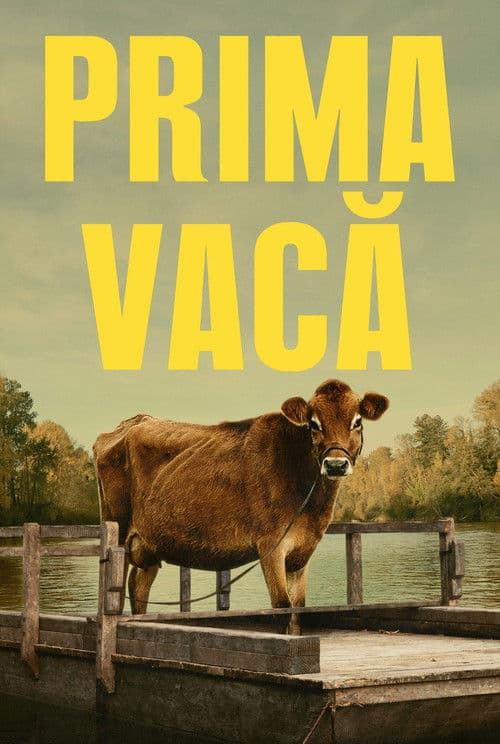 Prima vacă