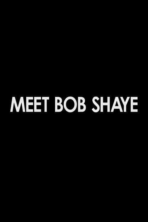 Meet Bob Shaye