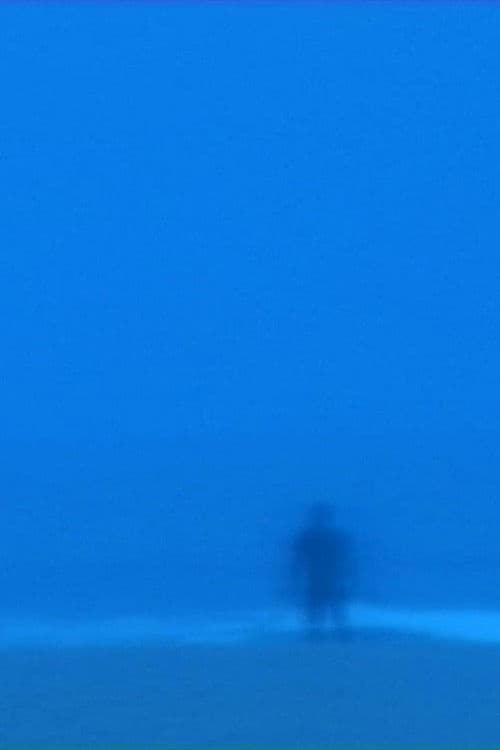 Studio Diary Series: Land | Sea | Sky