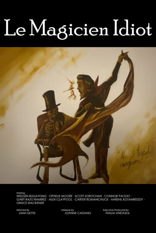 Le Magicien Idiot