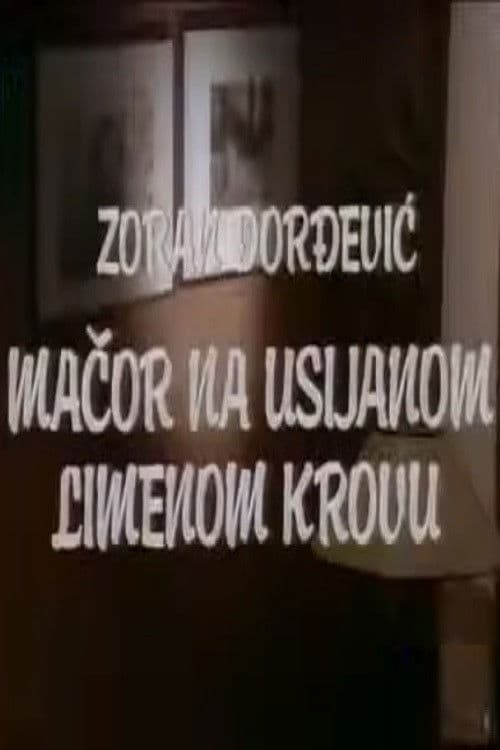 Mačor na usijanom limenom krovu