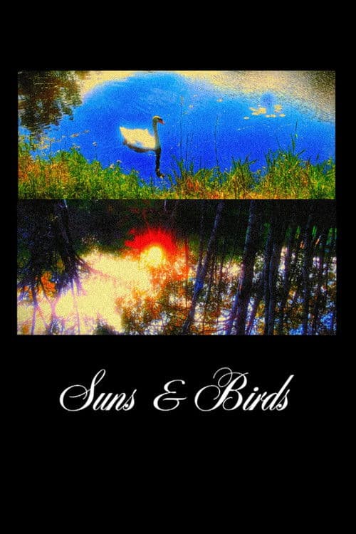 Suns & Birds