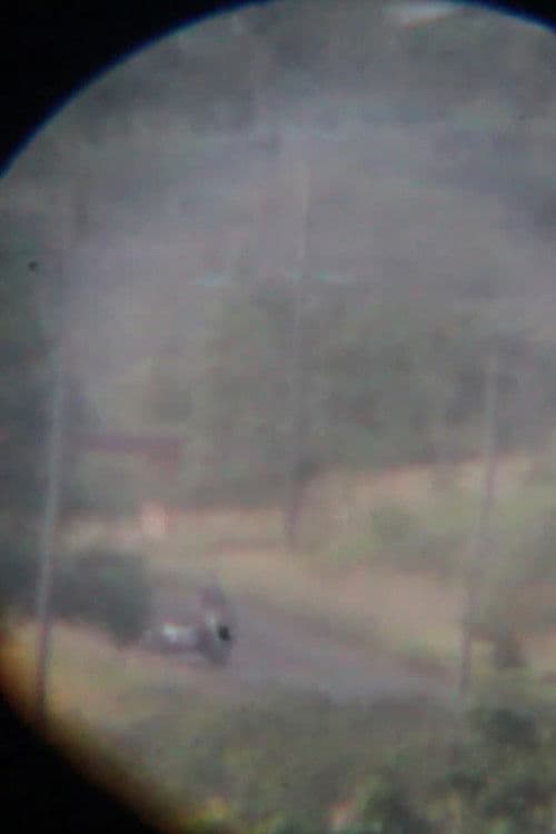 Imposible encontrar algo mirando