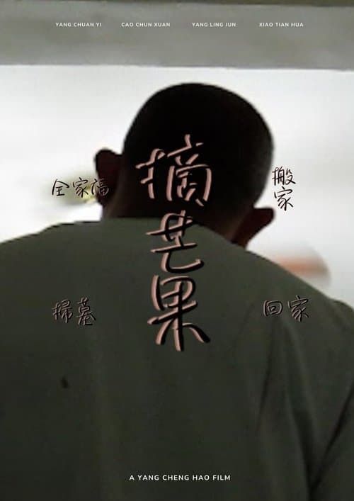 全家福.搬家.掃墓.摘芒果.回家