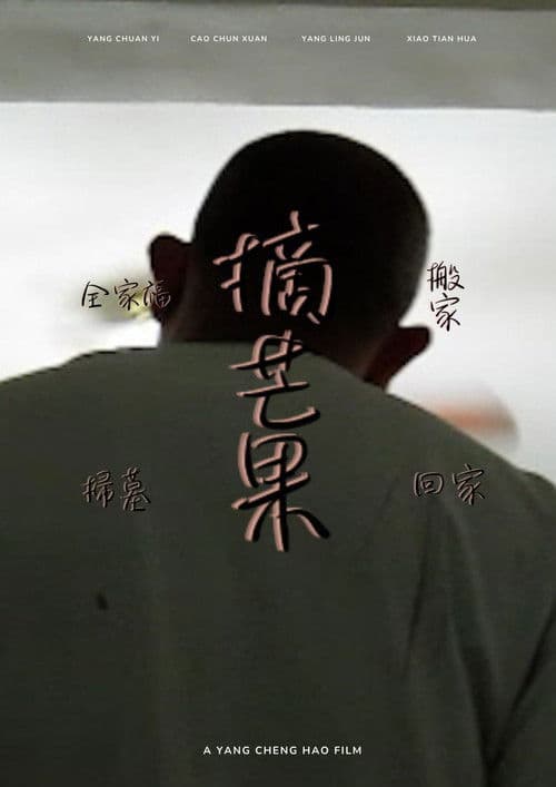 全家福.搬家.掃墓.摘芒果.回家