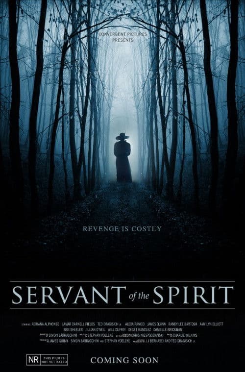 Servant of the Spirit
