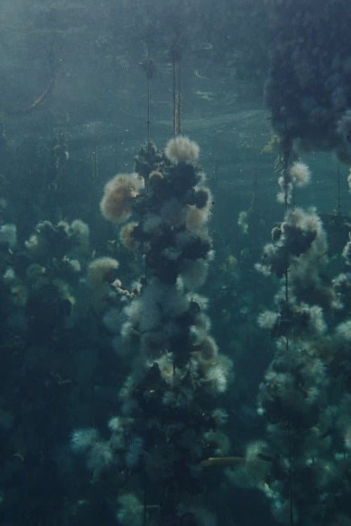 Concrete Turned to Sand