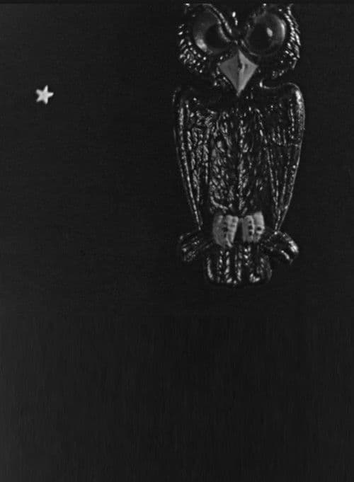 The Spider and the Fly