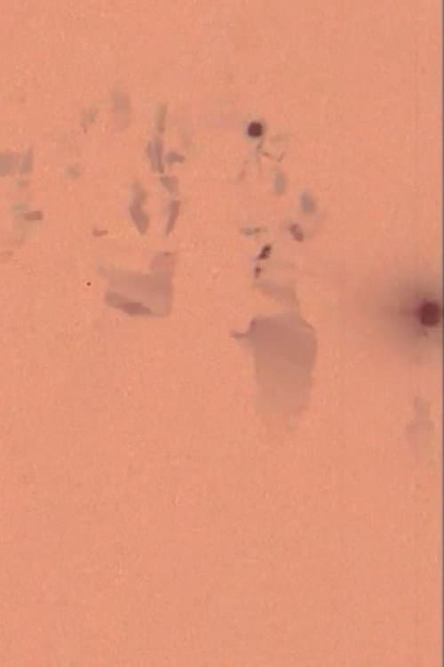 Hong Kong Topography: Näherungen