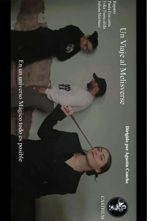 Un viaje al Melisverse