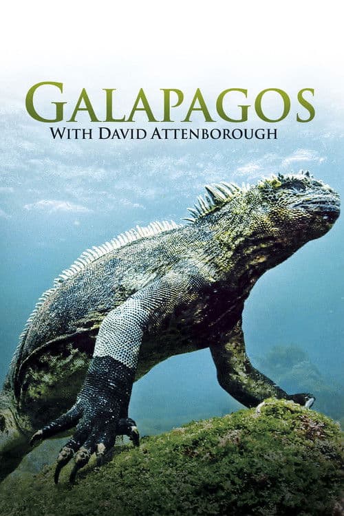 Galapagos 3D with David Attenborough