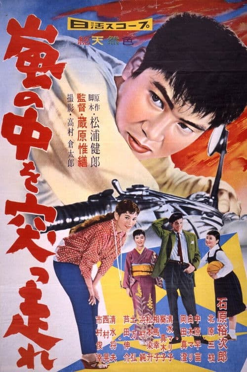 嵐の中を突っ走れ