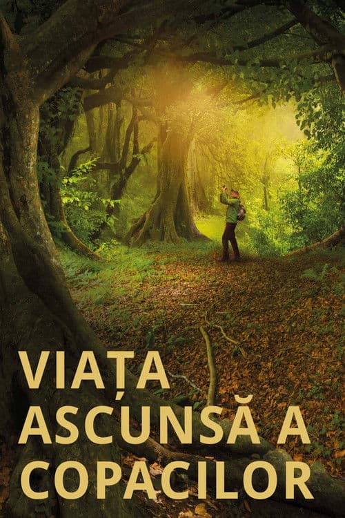 Viața ascunsă a copacilor