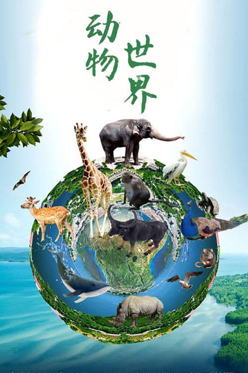 动物世界(赵忠祥)