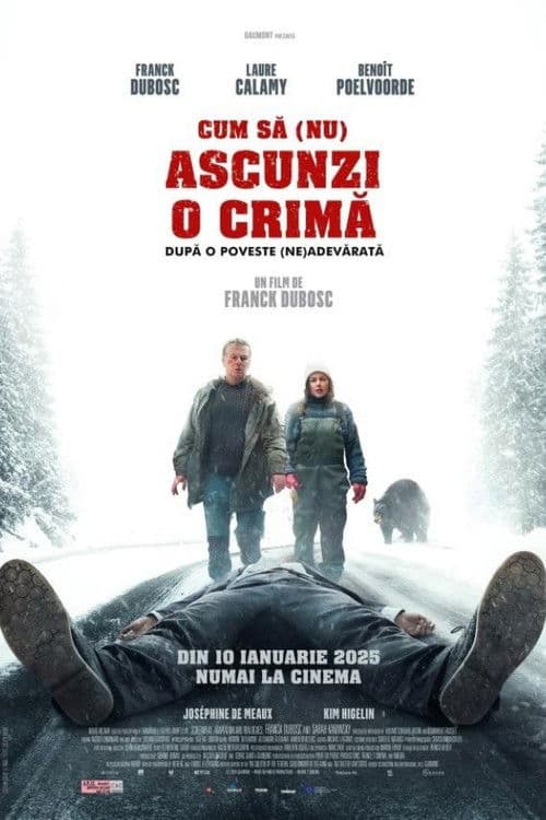 Un ours dans le Jura