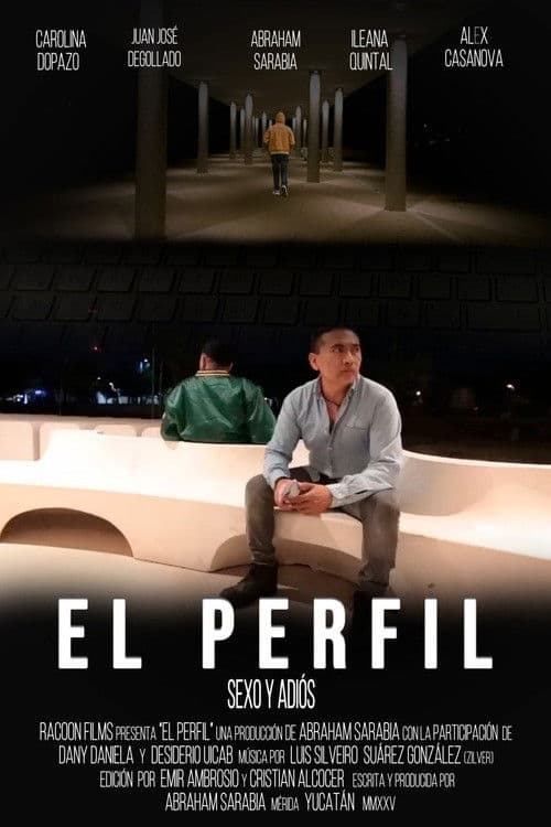 El perfil
