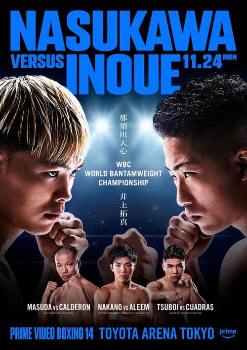 PRIME VIDEO BOXING 14