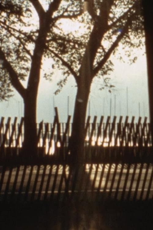 Pope Visits Chicagoland