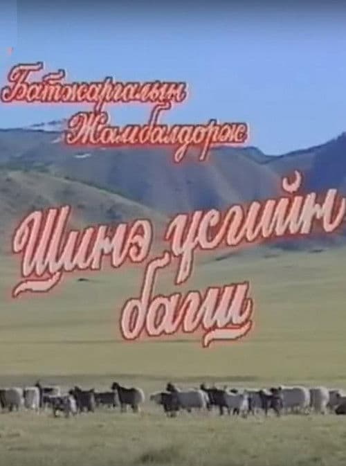 Шинэ үсгийн багш